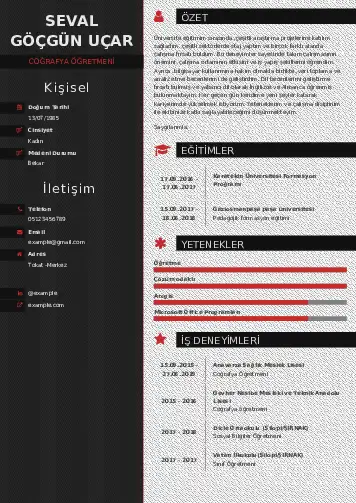 Coğrafya Öğretmeni CV Örnekleri cv indir